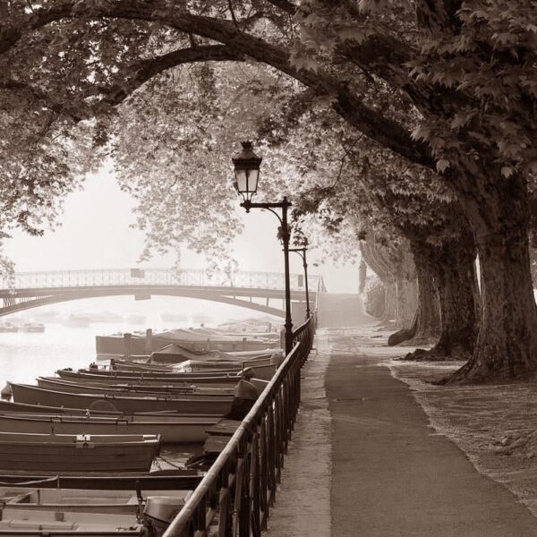 Rhône River in Arles